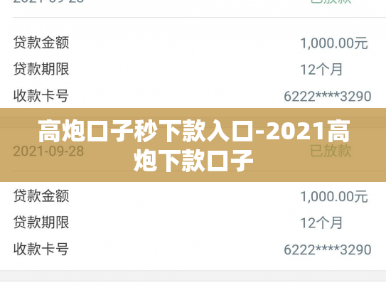 高炮口子秒下款入口-2021高炮下款口子