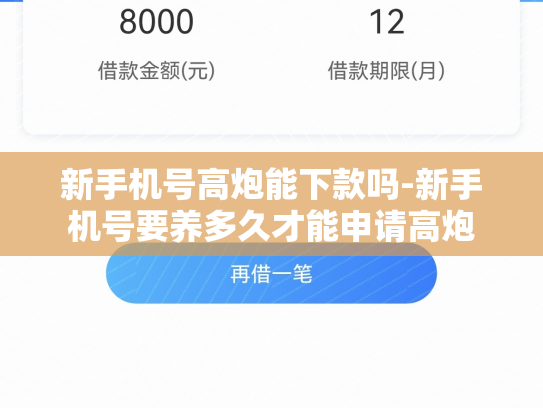 新手机号高炮能下款吗-新手机号要养多久才能申请高炮