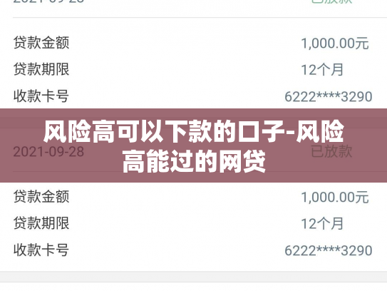 风险高可以下款的口子-风险高能过的网贷