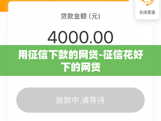 用征信下款的网贷-征信花好下的网贷