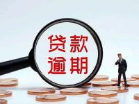 防疫贷是什么贷款平台？2025年最新政策解析与申请指南