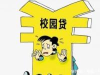 押车贷款车辆被抵押公司处置后的应对指南